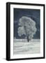 Cottonwood Tree Covered In Ice-Magrath Photography-Framed Photographic Print