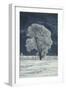 Cottonwood Tree Covered In Ice-Magrath Photography-Framed Photographic Print
