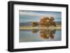 Cottonwood tree reflecting on pond, Bosque del Apache National Wildlife Refuge, New Mexico-Adam Jones-Framed Photographic Print