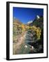 Cottonwood Trees Along the Banks of the Virgin River, Zion National Park, Utah, USA-Tomlinson Ruth-Framed Photographic Print
