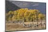 Cottonwood trees and fence in fall and Teton Range, Grand Teton National Park, Wyoming-Adam Jones-Mounted Photographic Print