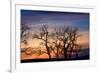 Cottonwood Trees are Silhouetted Against an Orange and Blue Sunset Near Lincoln, Nebraska-Sergio Ballivian-Framed Photographic Print