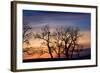 Cottonwood Trees are Silhouetted Against an Orange and Blue Sunset Near Lincoln, Nebraska-Sergio Ballivian-Framed Photographic Print