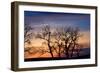 Cottonwood Trees are Silhouetted Against an Orange and Blue Sunset Near Lincoln, Nebraska-Sergio Ballivian-Framed Photographic Print