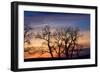 Cottonwood Trees are Silhouetted Against an Orange and Blue Sunset Near Lincoln, Nebraska-Sergio Ballivian-Framed Photographic Print