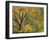 Cottonwood Trees in Autumn in the Zion National Park in Utah, USA-Tomlinson Ruth-Framed Photographic Print