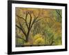 Cottonwood Trees in Autumn in the Zion National Park in Utah, USA-Tomlinson Ruth-Framed Photographic Print