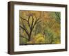 Cottonwood Trees in Autumn in the Zion National Park in Utah, USA-Tomlinson Ruth-Framed Photographic Print