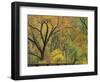 Cottonwood Trees in Autumn in the Zion National Park in Utah, USA-Tomlinson Ruth-Framed Photographic Print