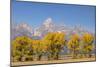 Cottonwood trees in fall and Teton Range, Grand Teton National Park, Wyoming-Adam Jones-Mounted Photographic Print