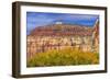 Cottonwood trees White Red Mountain Autumn, Canyonlands National Park, Needles District, Utah-William Perry-Framed Photographic Print