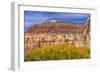 Cottonwood trees White Red Mountain Autumn, Canyonlands National Park, Needles District, Utah-William Perry-Framed Photographic Print