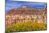 Cottonwood trees White Red Mountain Autumn, Canyonlands National Park, Needles District, Utah-William Perry-Mounted Photographic Print