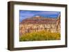 Cottonwood trees White Red Mountain Autumn, Canyonlands National Park, Needles District, Utah-William Perry-Framed Photographic Print