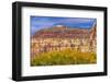 Cottonwood trees White Red Mountain Autumn, Canyonlands National Park, Needles District, Utah-William Perry-Framed Photographic Print