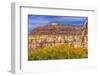 Cottonwood trees White Red Mountain Autumn, Canyonlands National Park, Needles District, Utah-William Perry-Framed Photographic Print