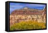 Cottonwood trees White Red Mountain Autumn, Canyonlands National Park, Needles District, Utah-William Perry-Framed Stretched Canvas