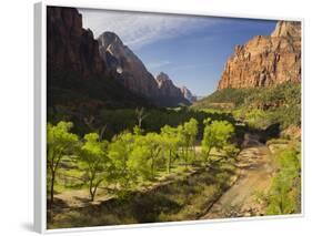 Cottonwood, Virgin River, Zion National Park, Utah, Usa-Rainer Mirau-Framed Photographic Print