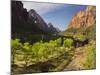 Cottonwood, Virgin River, Zion National Park, Utah, Usa-Rainer Mirau-Mounted Photographic Print