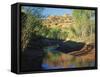 Cottonwoods Along Stream, Grand Staircase-Escalante National Monument, Utah, USA-Scott T. Smith-Framed Stretched Canvas