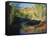 Cottonwoods Along Stream, Grand Staircase-Escalante National Monument, Utah, USA-Scott T. Smith-Framed Stretched Canvas