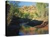 Cottonwoods Along Stream, Grand Staircase-Escalante National Monument, Utah, USA-Scott T. Smith-Stretched Canvas