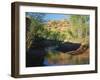 Cottonwoods Along Stream, Grand Staircase-Escalante National Monument, Utah, USA-Scott T. Smith-Framed Photographic Print