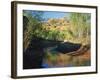 Cottonwoods Along Stream, Grand Staircase-Escalante National Monument, Utah, USA-Scott T. Smith-Framed Photographic Print