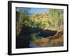 Cottonwoods Along Stream, Grand Staircase-Escalante National Monument, Utah, USA-Scott T. Smith-Framed Photographic Print