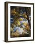 Cottonwoods and Squawbush, Gunnison Butte at Green River Flood Plain, Utah, USA-Scott T. Smith-Framed Photographic Print