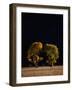 Cottonwoods in Autumn-Joseph Sohm-Framed Photographic Print