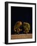 Cottonwoods in Autumn-Joseph Sohm-Framed Photographic Print