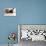 Couch, Cat, Young, Striped, Plays, Fur-Ball, Side-View, Animals, Mammals, Pets-Nikky-Photographic Print displayed on a wall