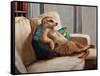 Couch Potato-Lucia Heffernan-Framed Stretched Canvas