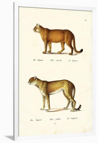 Cougar, 1824-Karl Joseph Brodtmann-Framed Giclee Print