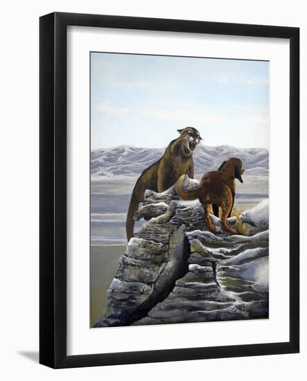 Cougar and Tink-Bonnie B. Cook-Framed Giclee Print