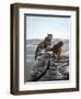 Cougar and Tink-Bonnie B. Cook-Framed Giclee Print