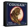 Cougar Brand - Covina, California - Citrus Crate Label-Lantern Press-Framed Stretched Canvas