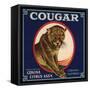 Cougar Brand - Covina, California - Citrus Crate Label-Lantern Press-Framed Stretched Canvas