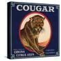 Cougar Brand - Covina, California - Citrus Crate Label-Lantern Press-Stretched Canvas