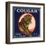 Cougar Brand - Covina, California - Citrus Crate Label-Lantern Press-Framed Art Print