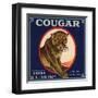 Cougar Brand - Covina, California - Citrus Crate Label-Lantern Press-Framed Art Print