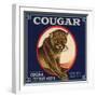 Cougar Brand - Covina, California - Citrus Crate Label-Lantern Press-Framed Art Print