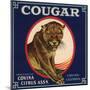 Cougar Brand - Covina, California - Citrus Crate Label-Lantern Press-Mounted Art Print