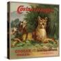 Cougar Brand - Covina, California - Citrus Crate Label-Lantern Press-Stretched Canvas