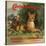 Cougar Brand - Covina, California - Citrus Crate Label-Lantern Press-Stretched Canvas