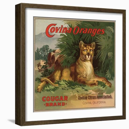 Cougar Brand - Covina, California - Citrus Crate Label-Lantern Press-Framed Art Print