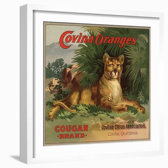 Cougar Brand - Covina, California - Citrus Crate Label-Lantern Press-Framed Art Print