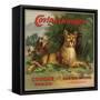 Cougar Brand - Covina, California - Citrus Crate Label-Lantern Press-Framed Stretched Canvas