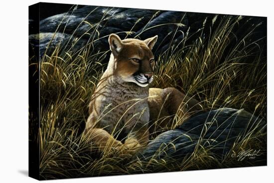 Cougar in the Grass-Wilhelm Goebel-Stretched Canvas